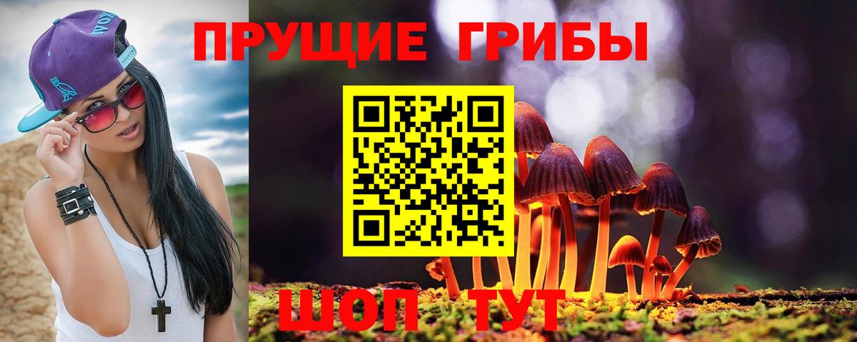 закладки  Вход с VPN  Назарово  Псилоцибиновые грибы Magic Shrooms  Псилоцибиновые грибы GOLDEN TEACHER 